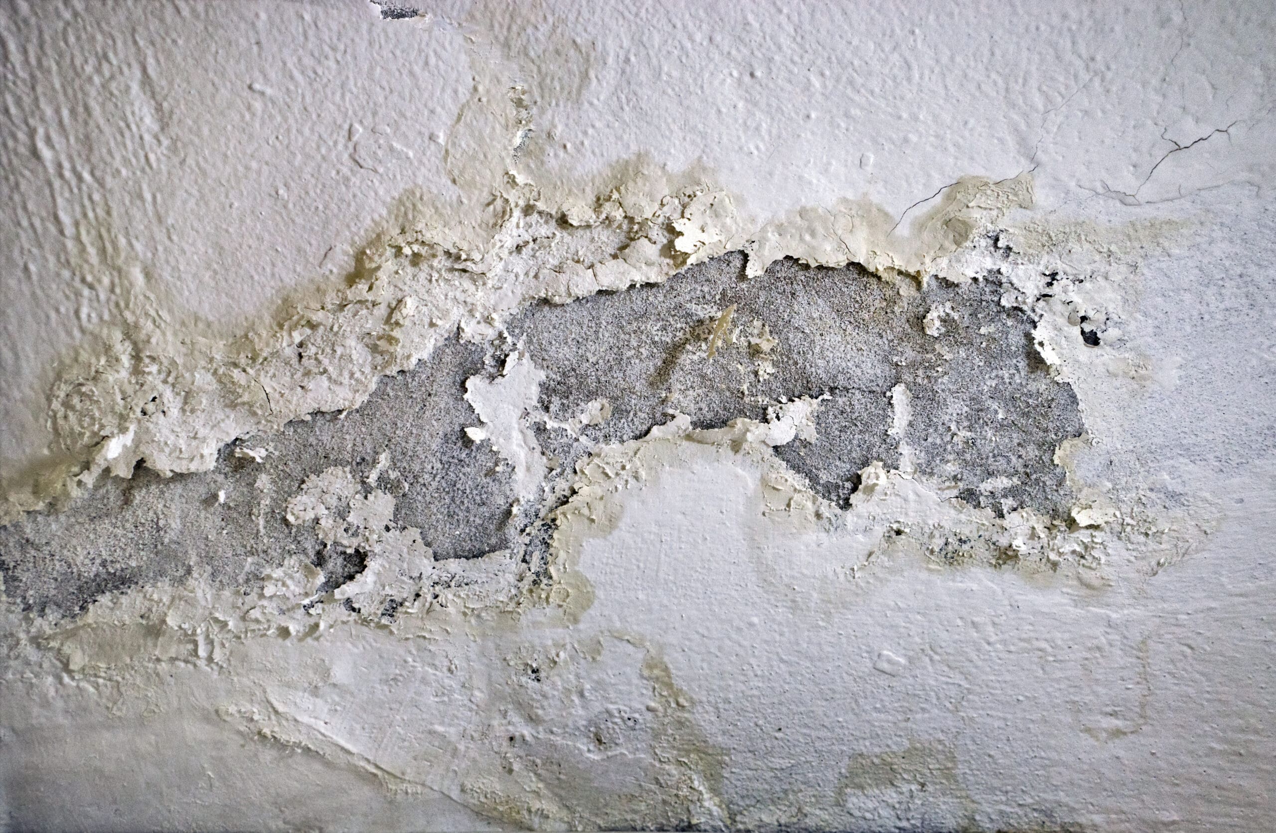 gas bubbles in wall paint or in the ground
