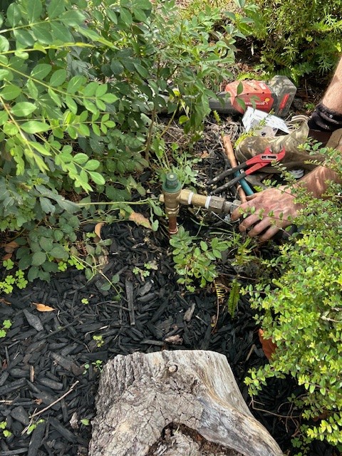 Water Line Renewals in Nunawading
